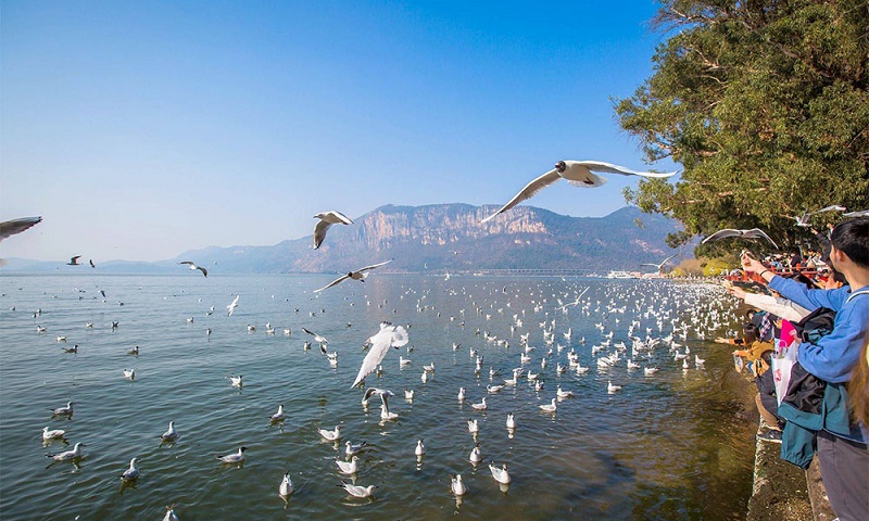 HÀ NỘI - ĐẠI LÝ – CÔN MINH 4N4Đ (Mã tour: NNHANTQCM-CT04)