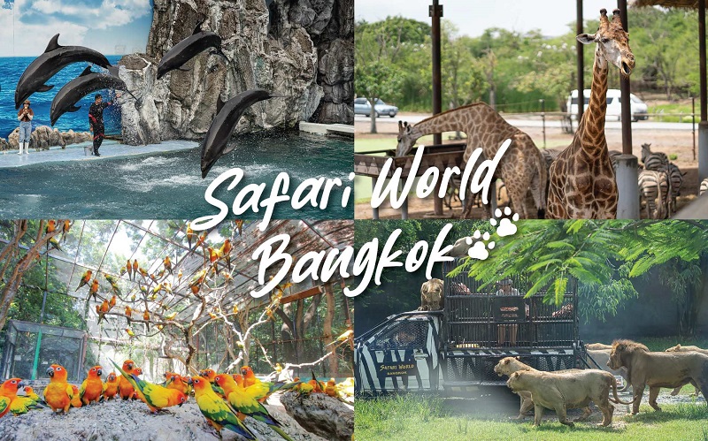 HÀ NỘI – BANGKOK – SAFARI WORLD – ALCAZA SHOW – PATTAYA - WAT ARUN – BAIYOKE SKY - BANGKOK – HÀ NỘI 4N3Đ 