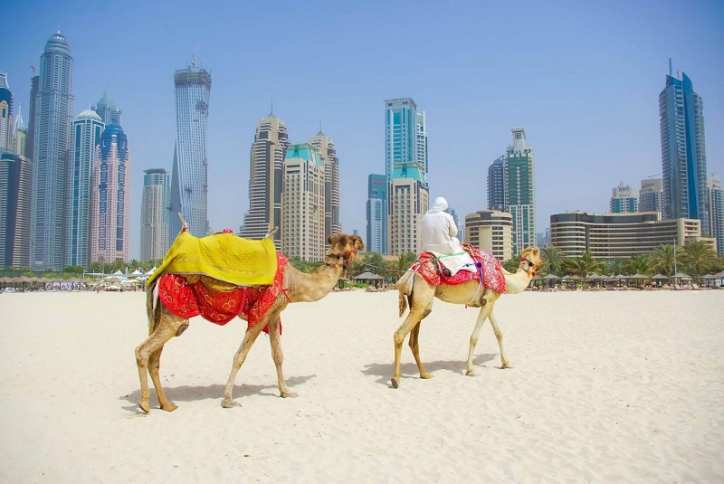 Du lịch Dubai - Safari - Abudhabi 2022