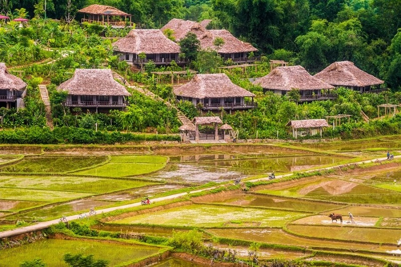 MAI CHÂU – PÙ LUÔNG – SUỐI CÁ THẦN- THÁC MÂY 2N1Đ (Mã tour: NĐHANVN-VMT06)