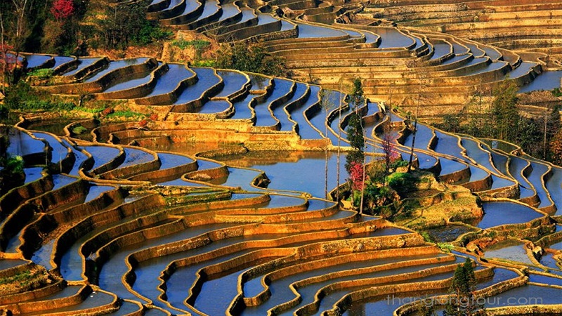 HÀ NỘI-HÀ KHẨU-NGUYÊN DƯƠNG-BÍCH SẮC TRẠI- TÂY SONG BẢN NẠP- PHỔ NHĨ 5N4Đ (Mã tour: NNHANTQVN-ALIO1)