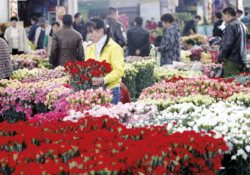 HÀ NỘI - HÀ KHẨU – THẠCH LÂM – CÔN MINH – KIỆU TỬ SƠN – KIẾN THUỶ - MÔNG TỰ | 5N4Đ (Mã tour: NNHANTQ-VD01)