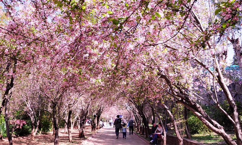 HÀ NỘI – CÔN MINH - ĐẠI LÝ 4N3Đ (Mã tour: NNHANTQĐL-CT01)