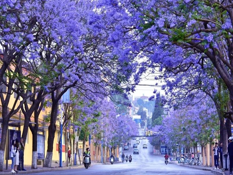 HÀ NỘI – CÔN MINH MONO – HÀ NỘI 4N3Đ ( Mã tour: NNHANTQCM-CT02)