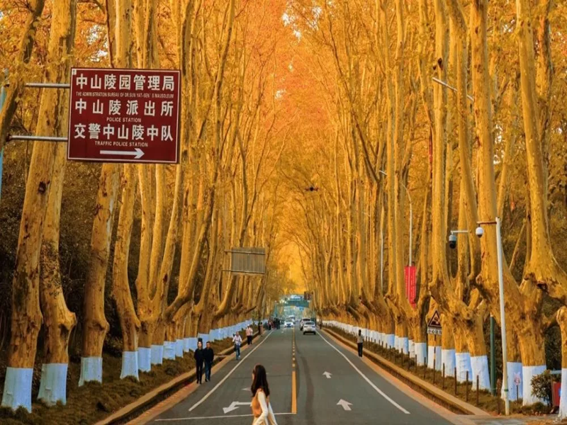  HÀ NỘI - BẮC KINH - HÀNG CHÂU - TÂY Ô TRẤN - THƯỢNG HẢI - NAM KINH  (NO SHOP)  7N6Đ (Mã tour: NNHANTQBKTH-HM01) 