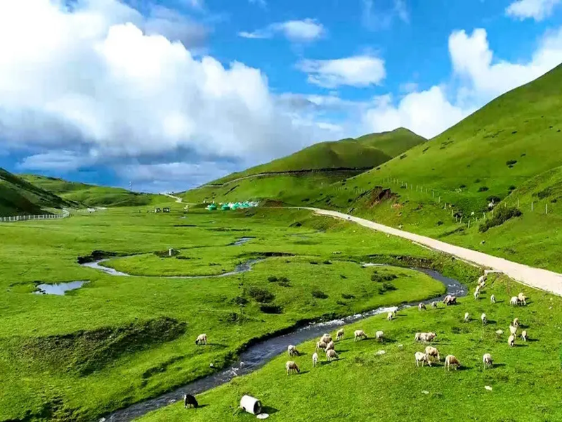 HÀ KHẨU - CÔN MINH – ĐẠI HẢI THẢO SƠN 4N4Đ (NNHANTQCM-CTA06)