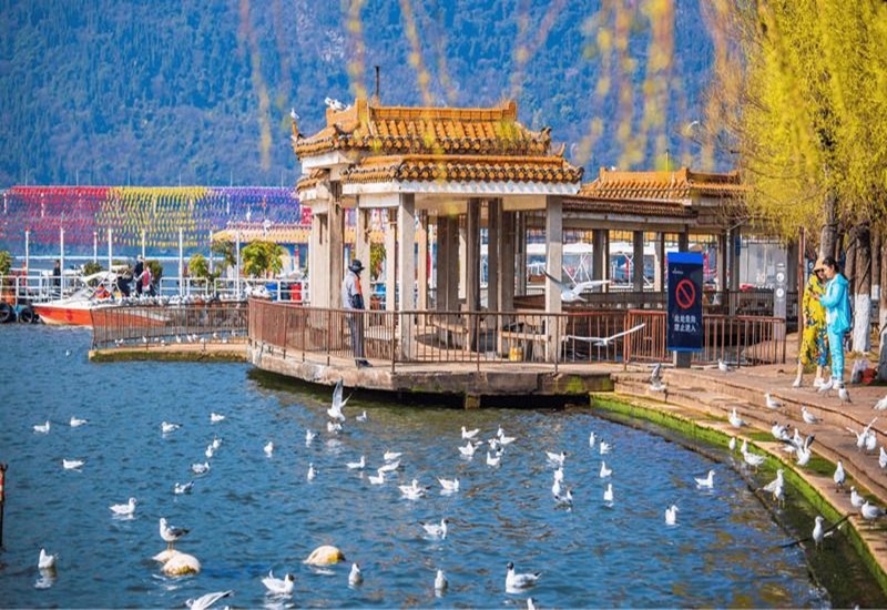 HÀ NỘI – HÀ KHẨU – CÔN MINH – KIỆU TỬ SƠN – HÀ NỘI NOSHOP  4N4Đ (Mã tour: NNHANTQKTS-CTA01)