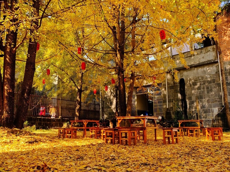 HÀ NỘI-CÁT BI- ĐẠI LÝ-LỆ GIANG-ĐẰNG XUNG LÀNG NGÂN HẠNH 6N5Đ (Mã tour: NNHANTQLGCB-CT02.4)