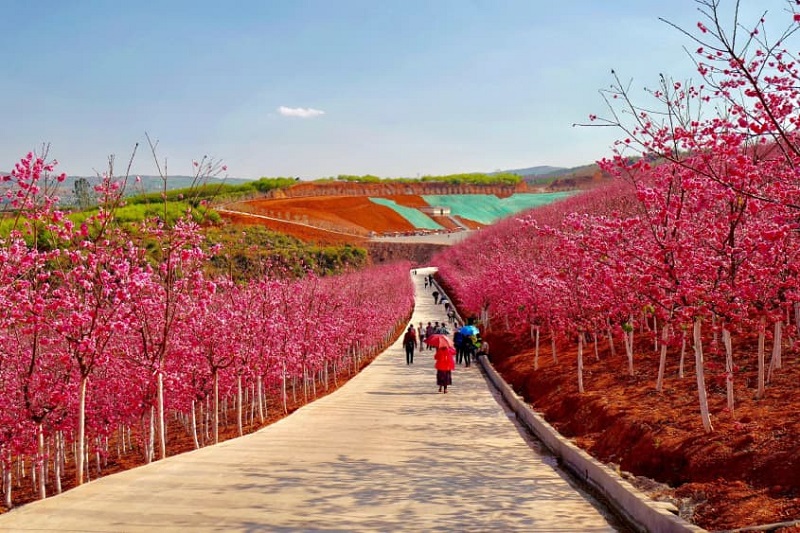 CÔN MINH- THẠCH LÂM – NGHI LƯƠNG – KIẾN THỦY 4N3Đ (Mã tour: NNHANTQNL-CT01)