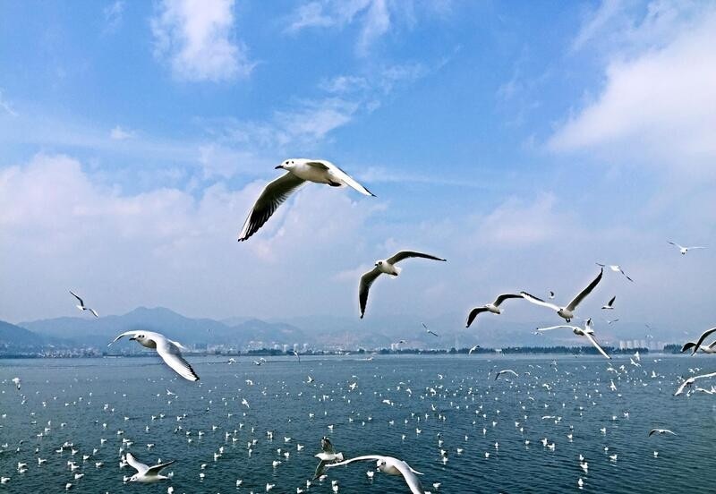 HÀ NỘI - ĐẠI LÝ – CÔN MINH  4N4Đ (Mã tour: NNHANTQCM-CT01)