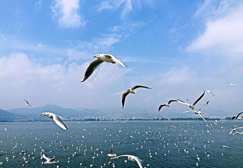 HÀ KHẨU - CÔN MINH -  ĐẠI HẢI THẢO SƠN 4N4Đ (Mã tour: NNHANTQCM-CT03)