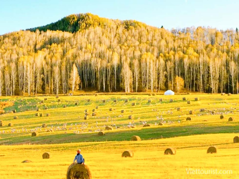 ORDOS - THẢO NGUYÊN ORDOS – MÔNG CỔ NGUYÊN LƯU - SA MẠC VỌNG ÂM – HOHHOT 6N5Đ (Mã tour: NNHANTQNM-CT01)