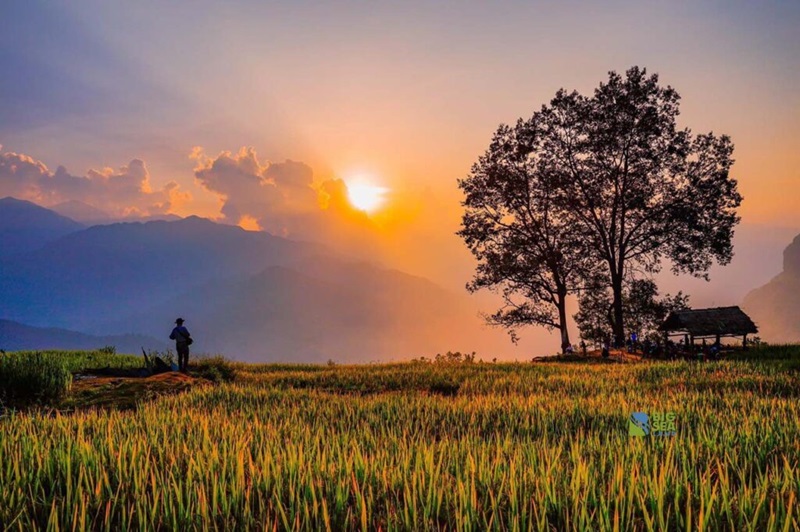 NGẢI THẦU - SĂN MÂY Y TÝ CHỢ PHIÊN BẮC HÀ 3N2Đ (Mã tour: NĐHANVN-VMT08)