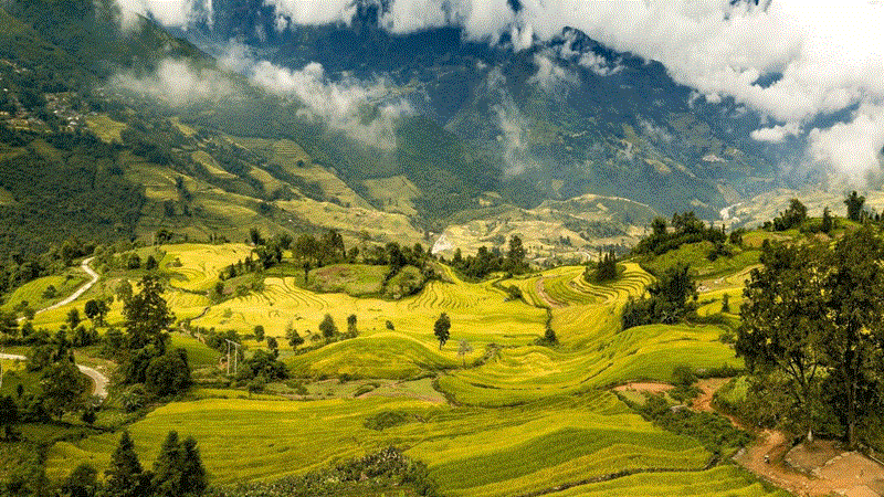 NGẢI THẦU - SĂN MÂY Y TÝ CHỢ PHIÊN BẮC HÀ 3N2Đ (Mã tour: NĐHANVN-VMT08)