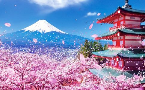 Hà Nội - Nagoya - Gifu- Làng cổ Shirakawago - Toyama - Chinh phục Alpene Route ngắm Mùa thu-Núi Phú Sĩ -Tokyo-Tokyo Skytree-Asakusa- Odaiba 6N5Đ | Vietnam Airlines