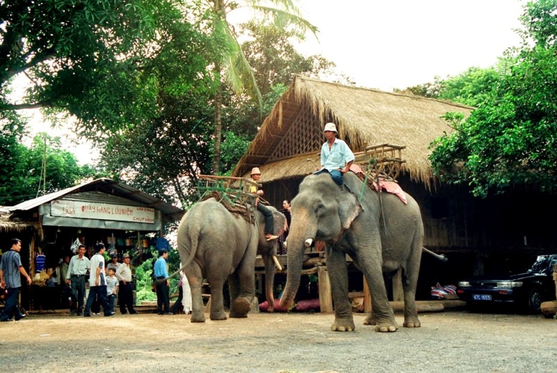 HÀ NỘI - ĐÀ LẠT - BUÔN MÊ THUỘT - HÀ NỘI 4N3Đ (Mã tour: NĐHANVN-ĐL06)